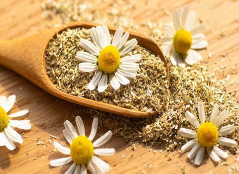 خرید دمنوش گل بابونه درشیراز